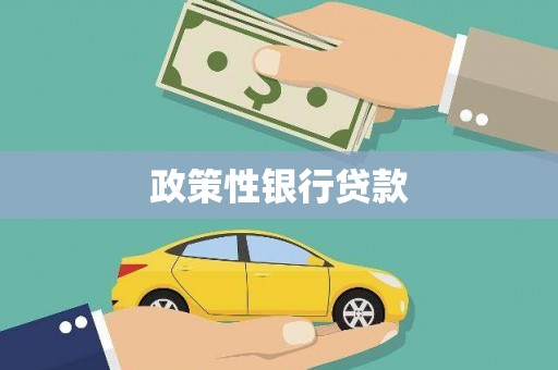 监利政策性银行贷款
