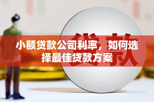 监利小额贷款公司利率，如何选择最佳贷款方案