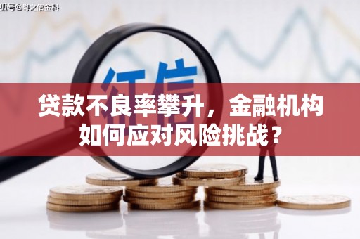 监利贷款不良率攀升，金融机构如何应对风险挑战？