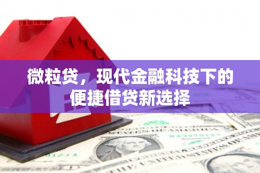 监利微粒贷，现代金融科技下的便捷借贷新选择