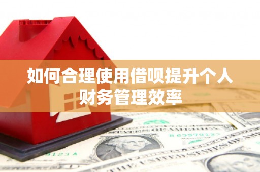 监利如何合理使用借呗提升个人财务管理效率