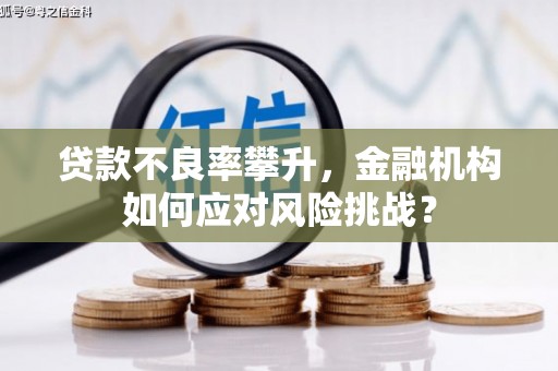 监利贷款不良率攀升，金融机构如何应对风险挑战？