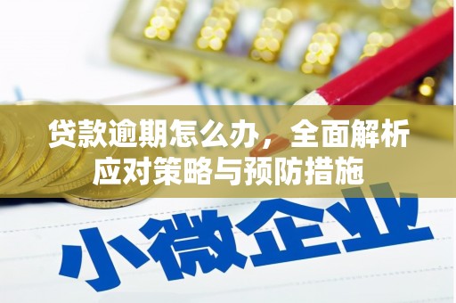 监利贷款逾期怎么办，全面解析应对策略与预防措施
