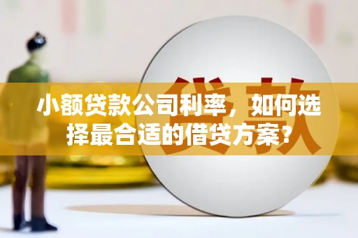 监利小额贷款公司利率，如何选择最合适的借贷方案？