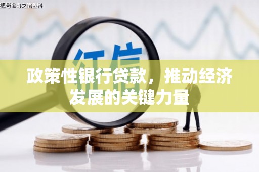 监利政策性银行贷款，推动经济发展的关键力量