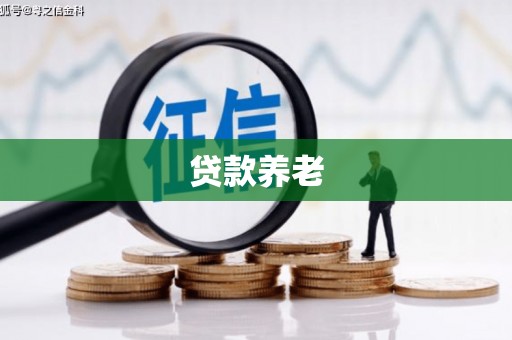 监利贷款养老