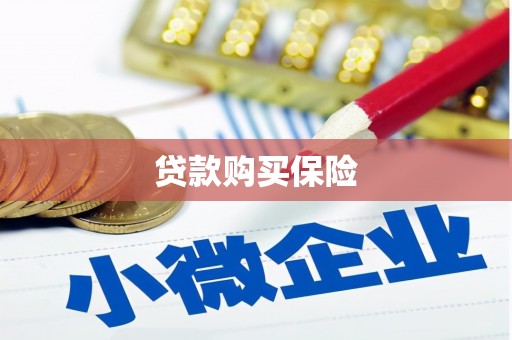 监利贷款购买保险