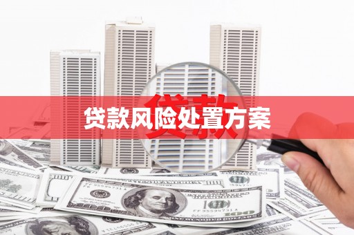 监利贷款风险处置方案